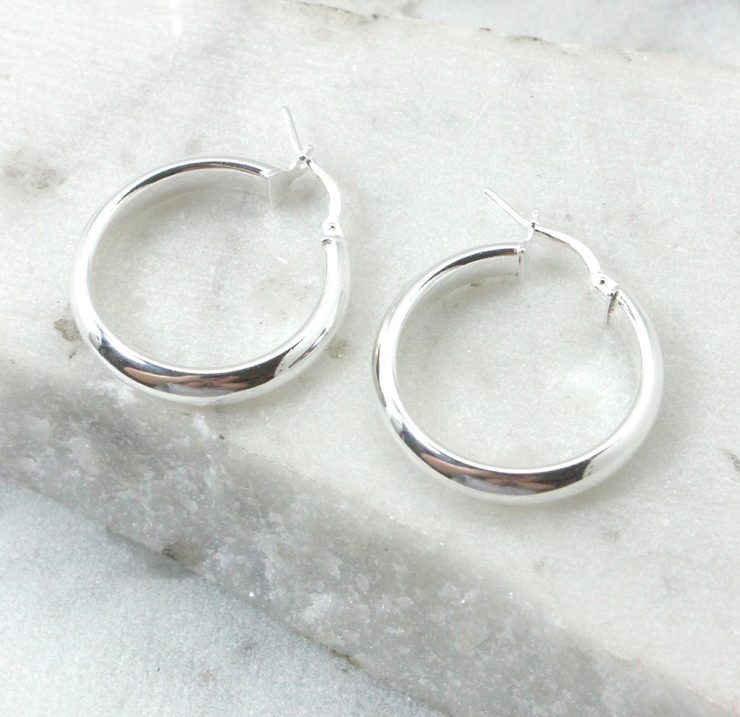 A photo of the Lucca Hoop Earrings product