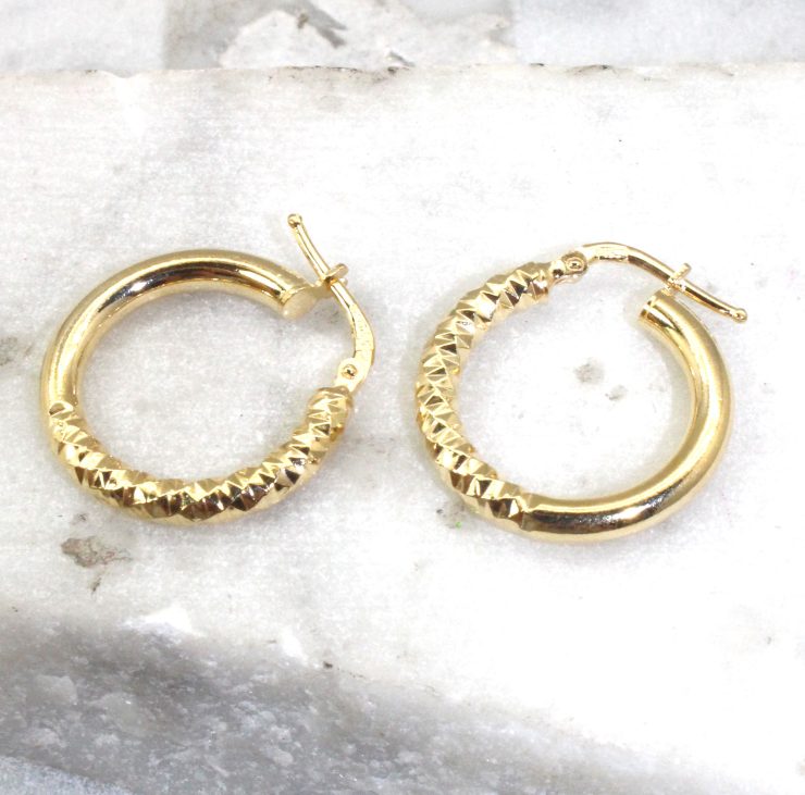 A photo of the Naples Hoop Earrings product