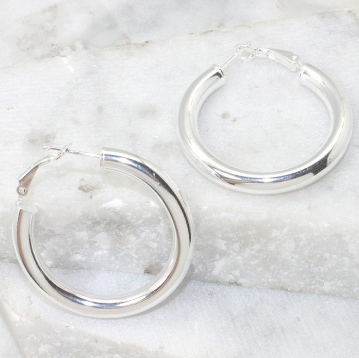 A photo of the Palermo Hoop Earrings product