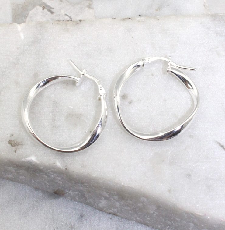A photo of the Reggio Hoop Earrings product