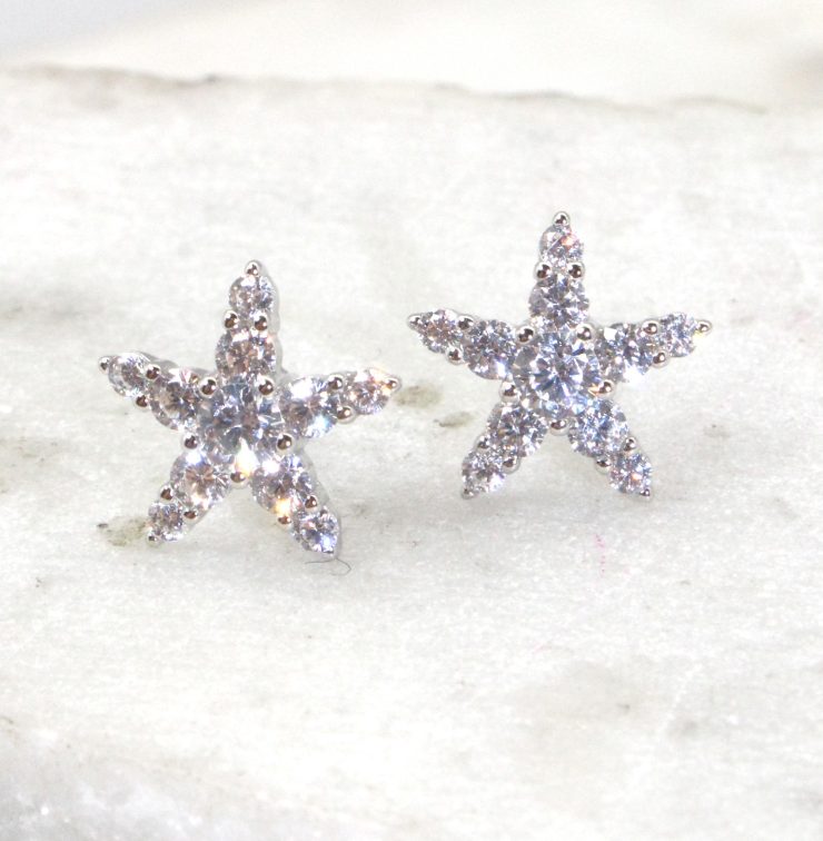 A photo of the Sandy Starfish Earrings product