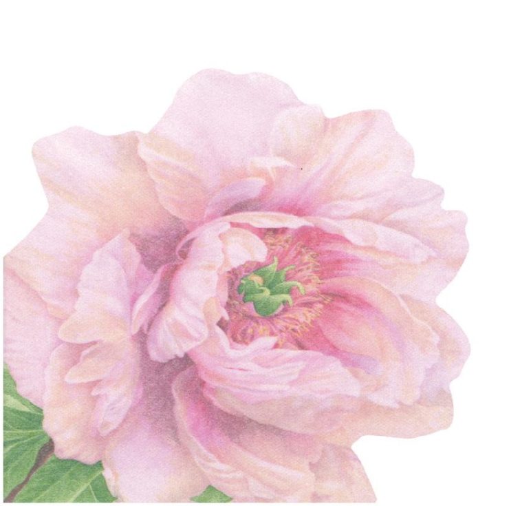 A photo of the Blush Flower Napkins product