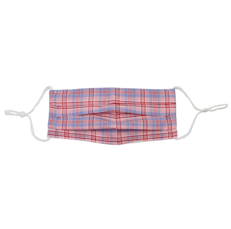 A photo of the Pretty Plaid Face Mask product