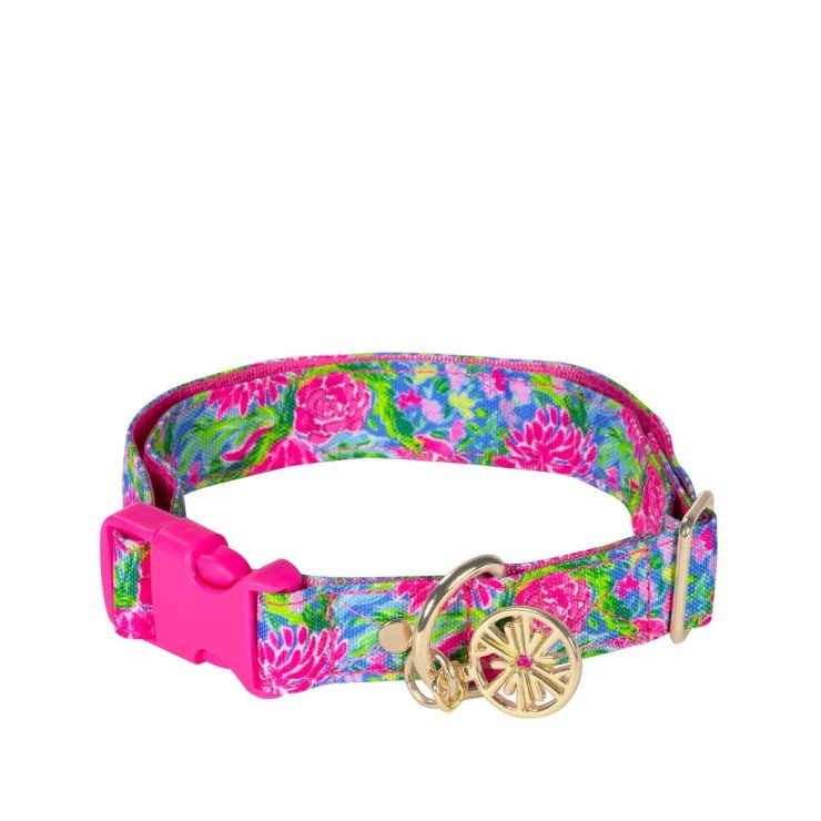 A photo of the Lilly Pulitzer Dog Collar In Bunny Business - M/L product