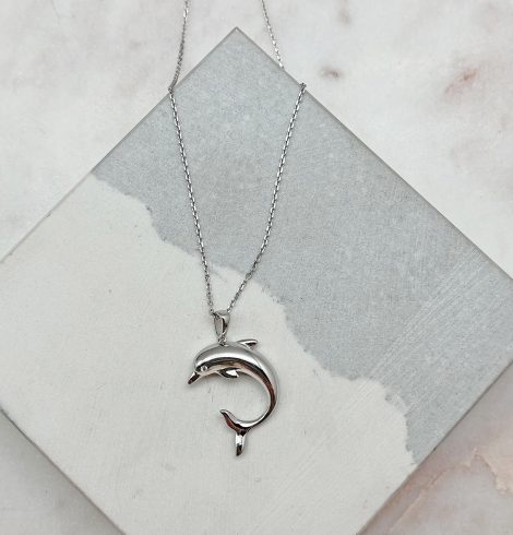A photo of the Curved Dolphin Necklace product