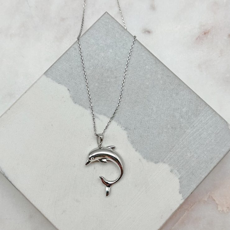 A photo of the Curved Dolphin Necklace product