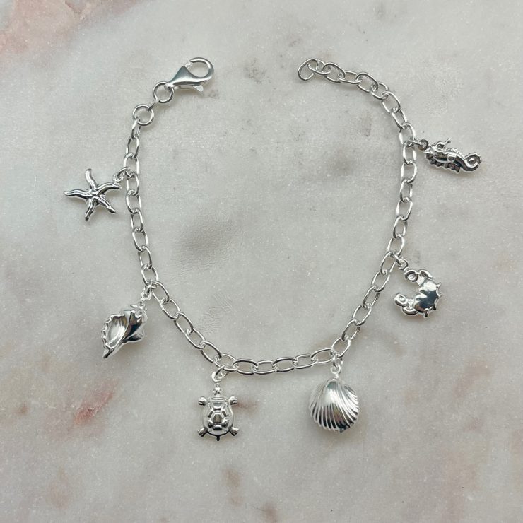 A photo of the Nautical Charm Bracelet product