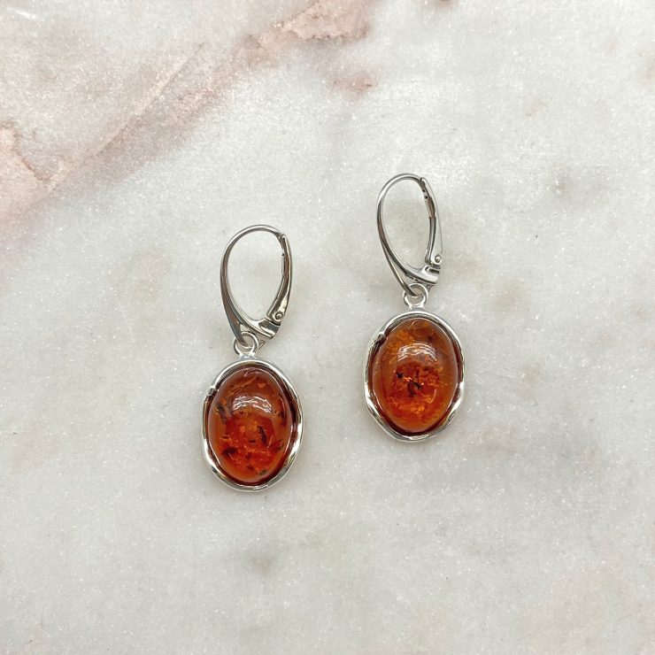 A photo of the Oval Amber Drop Earrings product