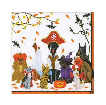 A photo of the Halloween Pets Cocktail Napkins product
